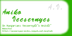 aniko vecsernyes business card